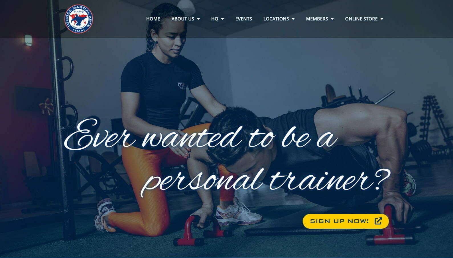 Web Design & Development of the Toogee Martial Arts Personal Training Course Landing Page