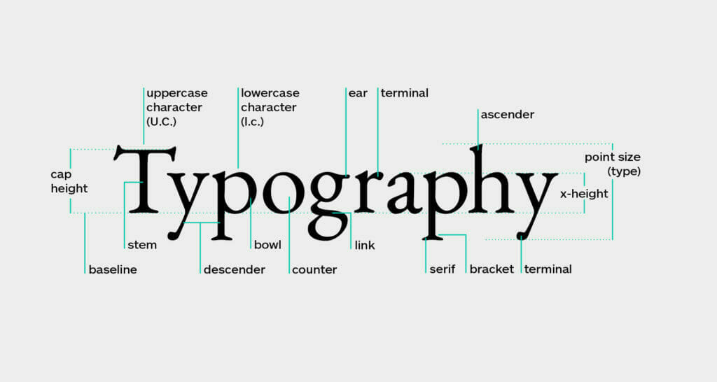 The anatomy of Typography